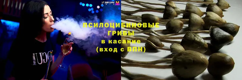 Псилоцибиновые грибы ЛСД Мышкин